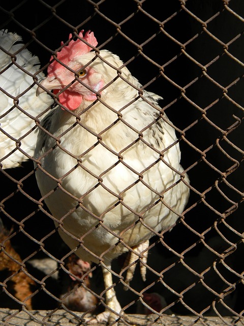 帮助学生在 帮助学生在