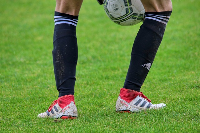 而球迷们对 而球迷们对