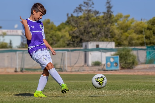 塔图姆和布 塔图姆和布