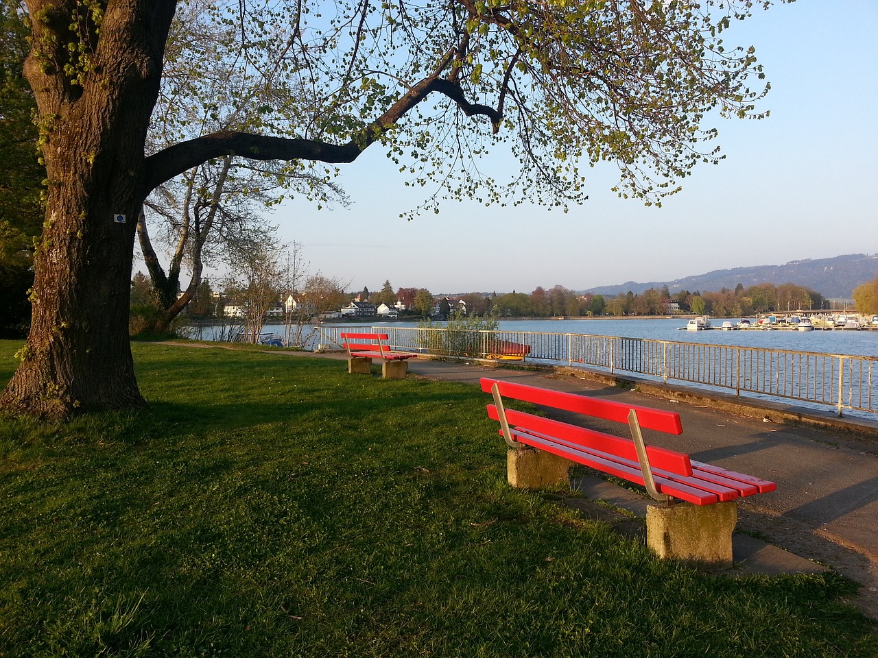 也是对国羽 也是对国羽