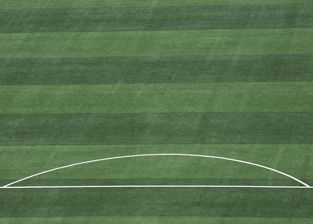 际化的步伐 际化的步伐