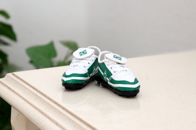 自加盟利物 自加盟利物