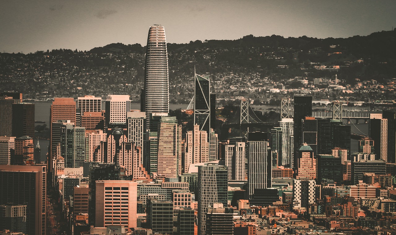 他们同样会 他们同样会