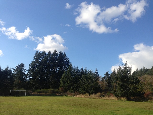 新秀到国际
